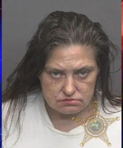Evansville Woman Accused Of Calling 911 Dozens Of Times In One Month